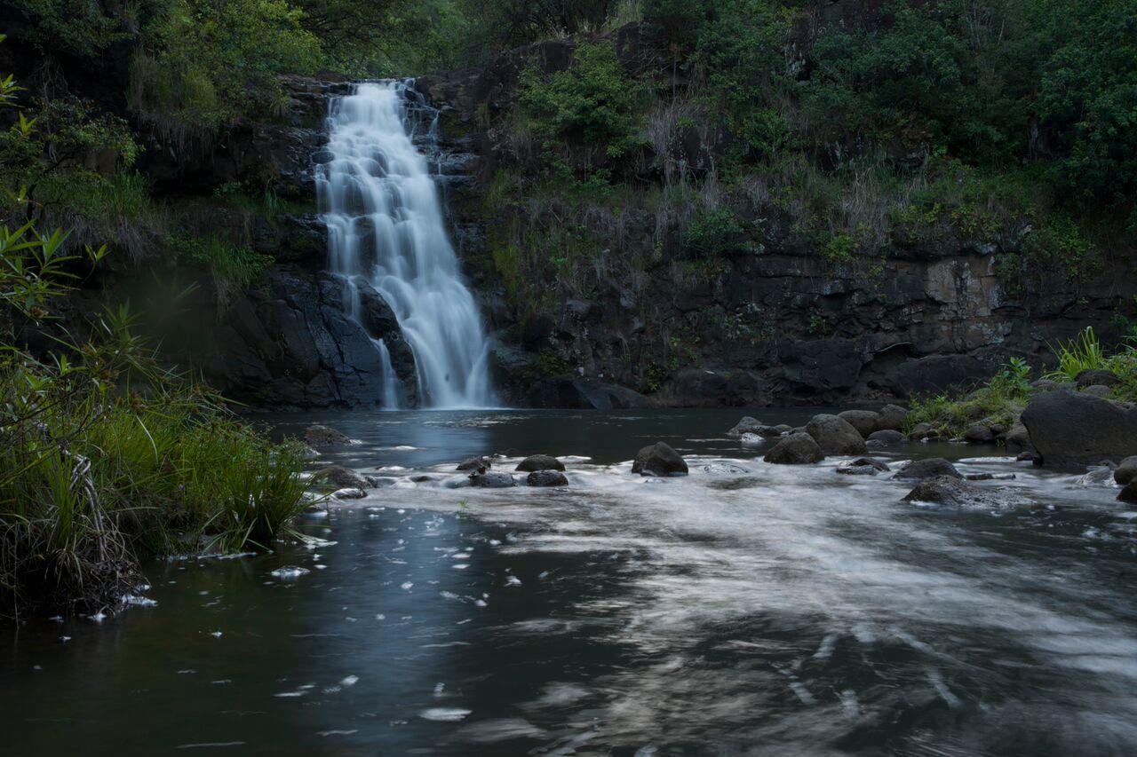 Full Day General Admission