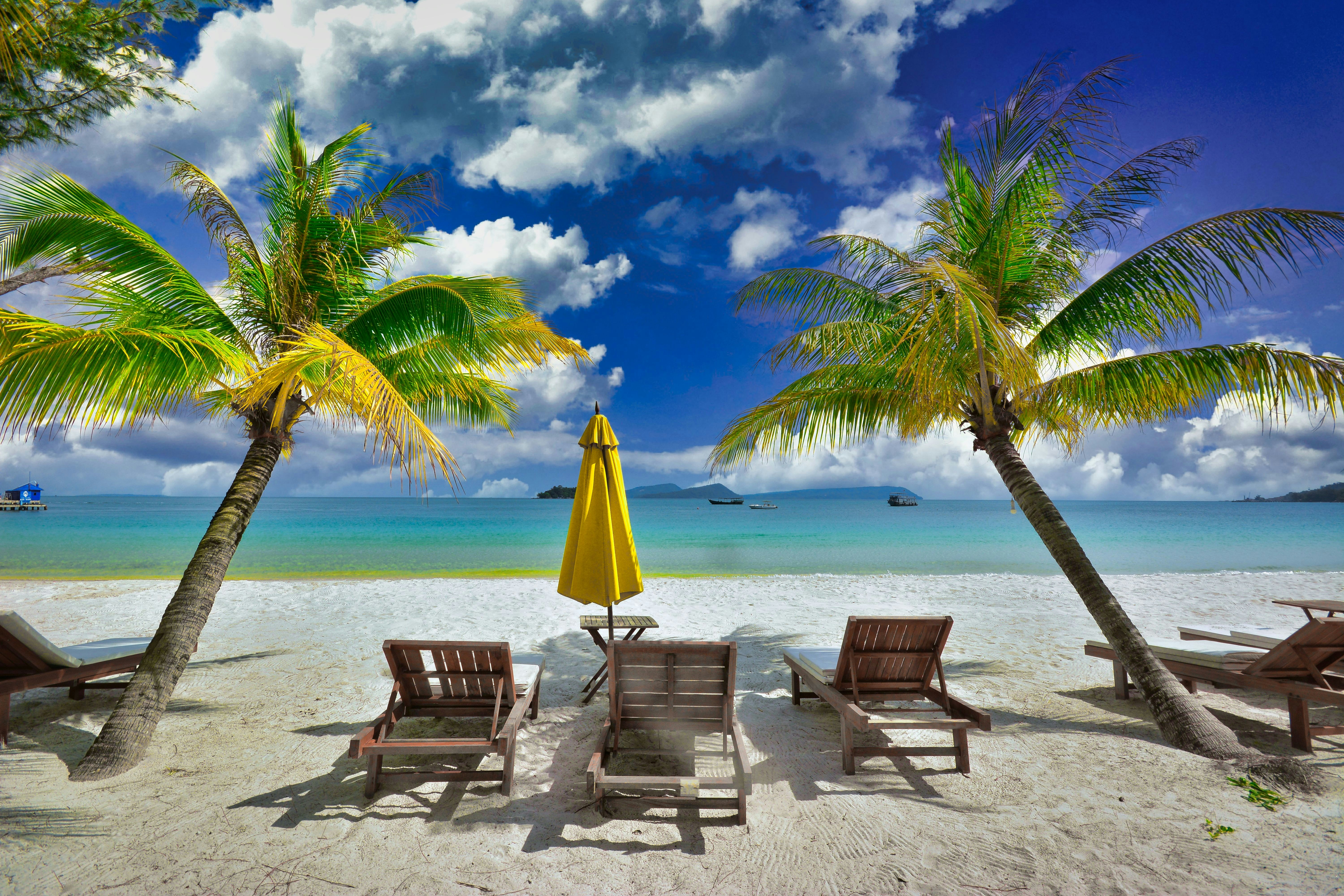 OceanViewOahu Experiences: 7 Ways to Live Like a Local in Waikiki Beach